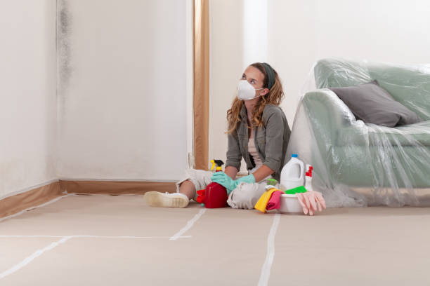 Reliable Mold Remediation contractor in Clinton, IL by Cheap Mold Removal